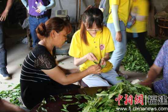 实践队队员走访茶农家了解制茶工序