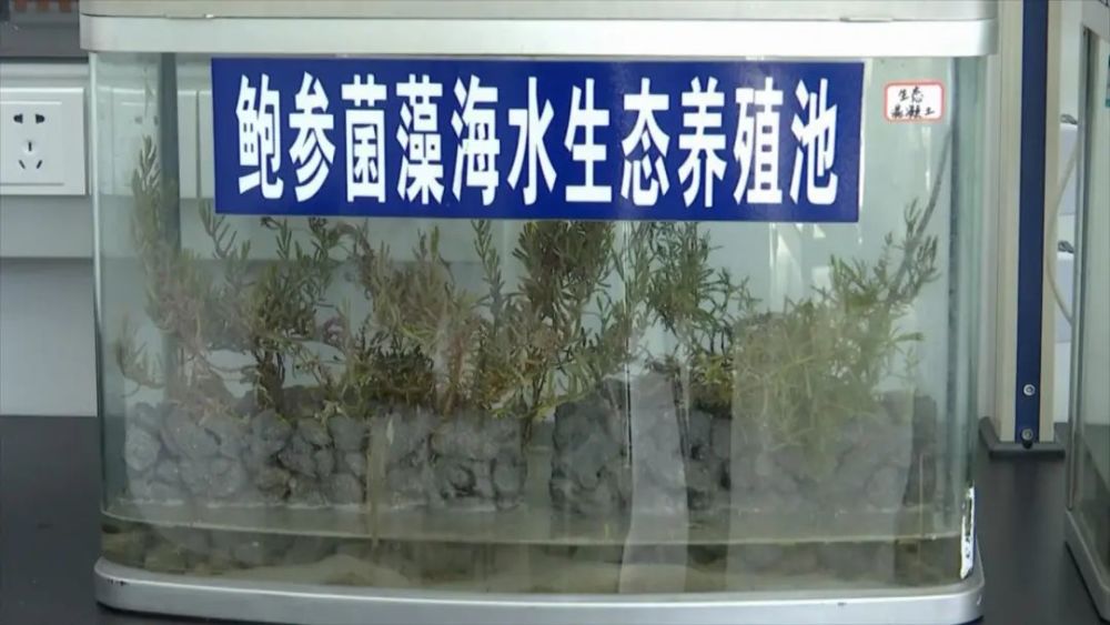 1c94d9eccb8ef6c6ac6e67315795eaba.jpg