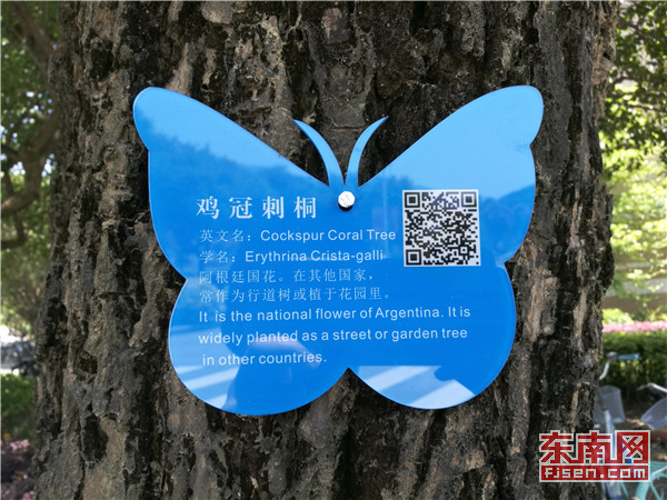 ae59df49c12f8f6256cfb6c0cb5ce264.jpg