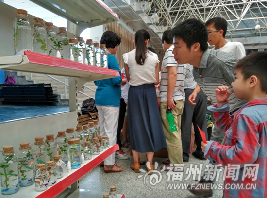 福州科技馆:大学生摆摊玩创意 亲子手工活乐翻天