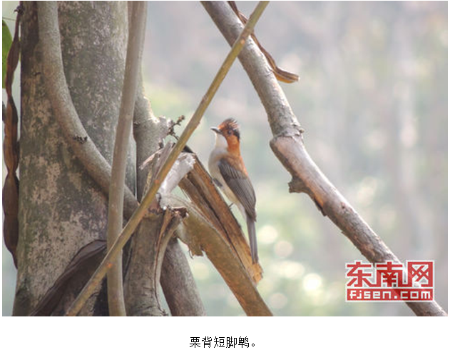 b94019b6bbb3e1813001067bcbbd8766.png