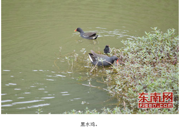 76f8b354fb3f7afaffba44ff68c370ef.png
