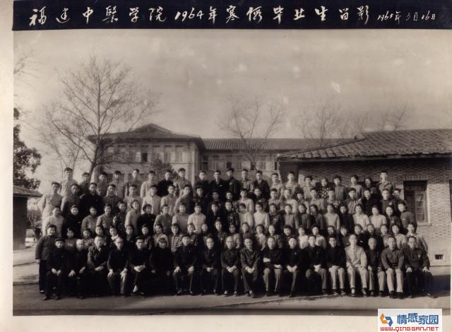 97e040aba6ae18bf81a3d62b2c9253c2.jpg