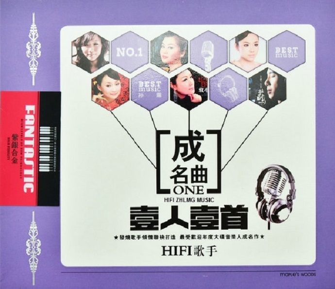 歌星《一人一首成名曲ONEHIFI歌手》2CD[DTS-WAV分轨]