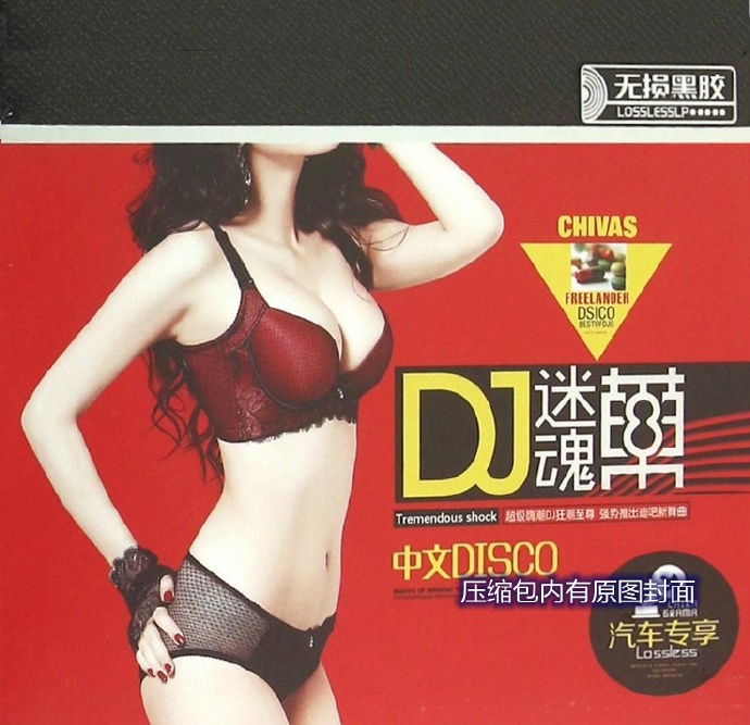 群星《DJ迷魂药中文DISCO》WAV+CUE