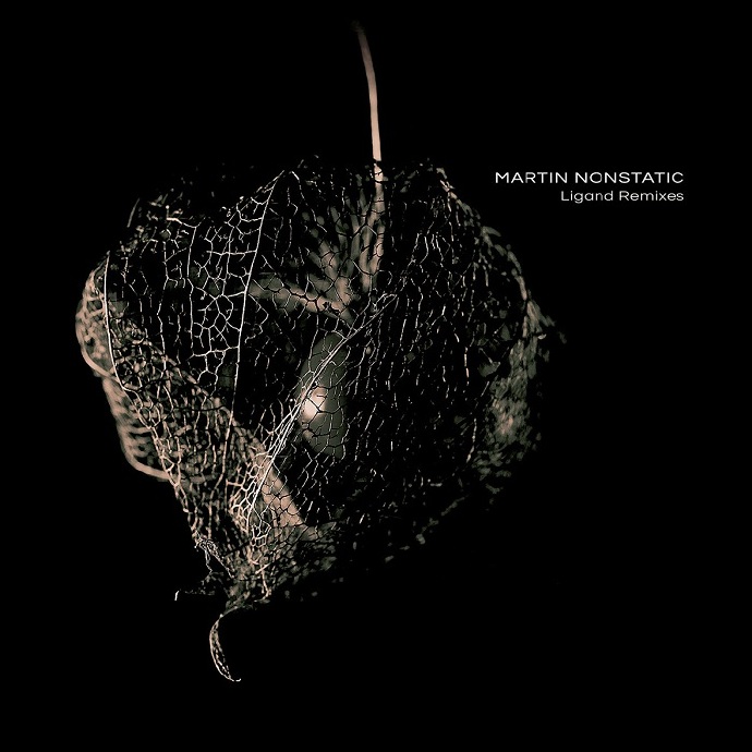 迷幻电音-MartinNonstatic-LigandRemixes[FLAC]